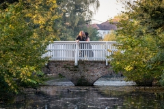 web_5D1_3461